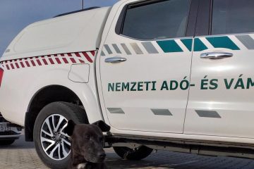 Négymilliárdnyi árut foglalt le a NAV távol-keleti cégektől