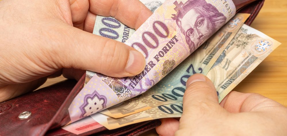 forint pénz