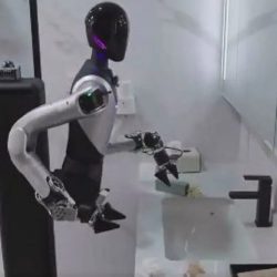 robot