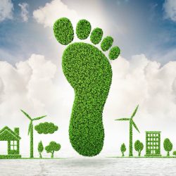 karbonlábnyom carbon footprint