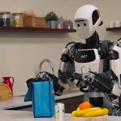 Apollo Apptronik robot