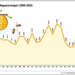 Méztermelés 2024